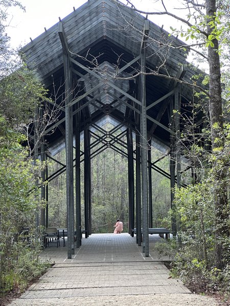 The Crosby Arboretum photo 3