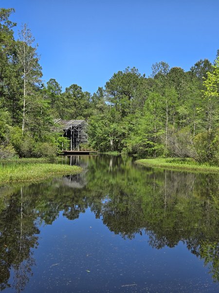 The Crosby Arboretum photo 4