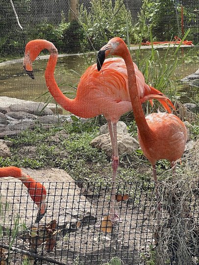 Sunset Zoo photo 4
