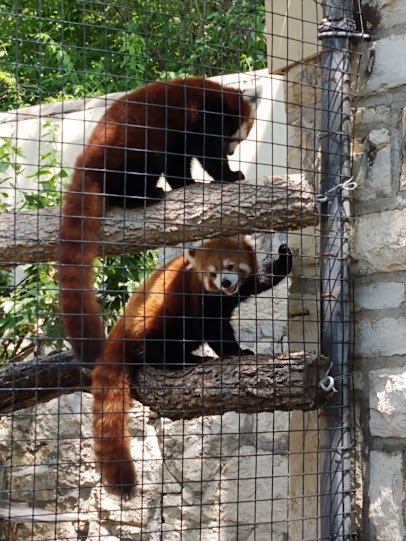 Sunset Zoo photo 5