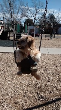 Memorial Splash Pad photo 3