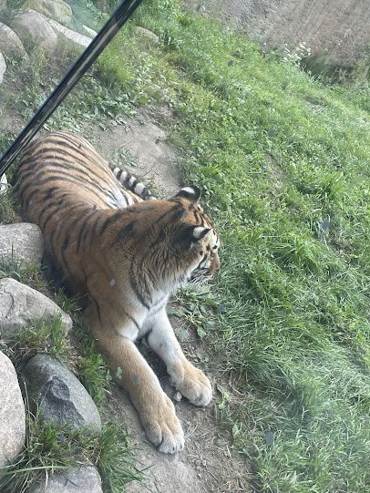 Holden Reptile Conservation Center photo 4