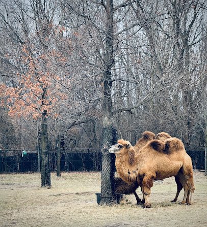 Holden Reptile Conservation Center photo 6