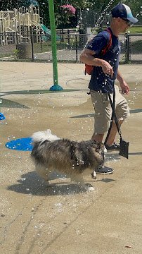 Cain Park Splash Pad photo 4