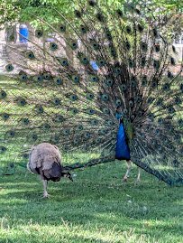 ABQ BioPark Zoo photo 5