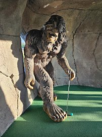 Mini Mountain Mini Golf photo 5