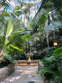 Tropical Encounters