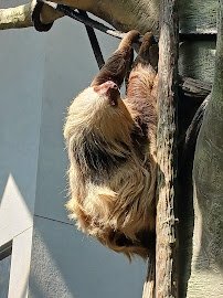 Tropical Encounters photo 3