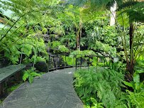 Tropical Encounters photo 5