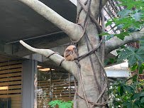 Tropical Encounters photo 6