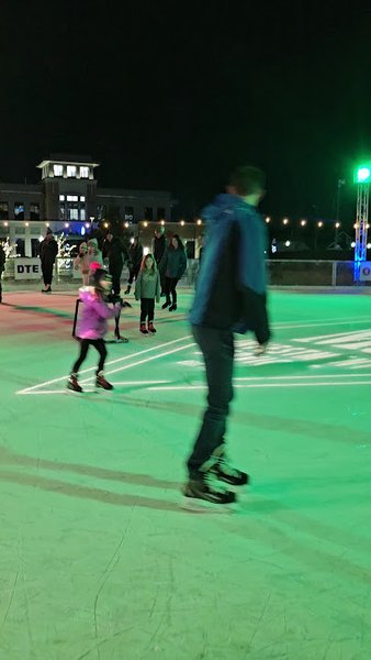 Ice Rink Royal Oak photo 3
