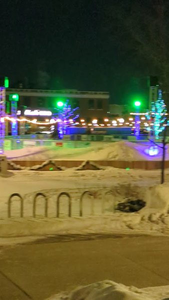 Ice Rink Royal Oak photo 5