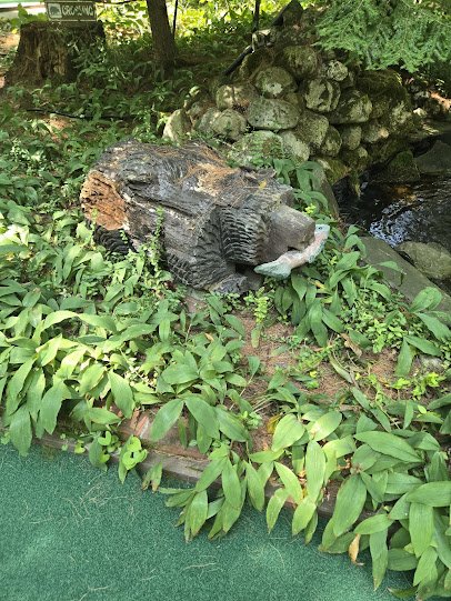 Steamboat Landing Mini Golf photo 6