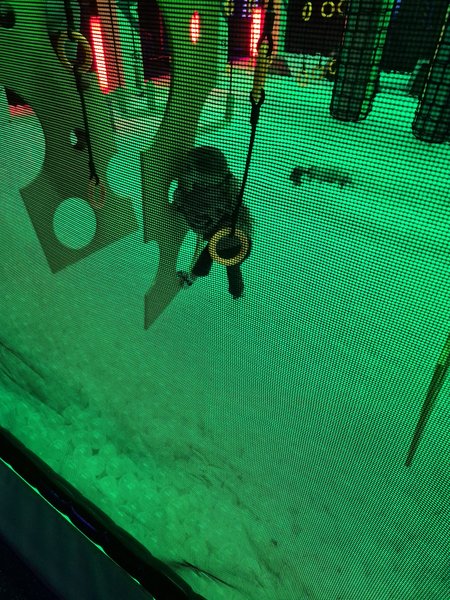Urban Air Trampoline and Adventure Park photo 5