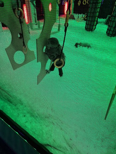 Urban Air Trampoline and Adventure Park photo 5