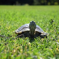 Nature Center at Greenburgh