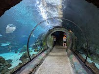 Downtown Aquarium