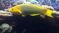 Downtown Aquarium photo 2