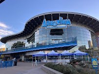 Downtown Aquarium photo 3