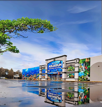 Daytona Aquarium & Rainforest Adventure