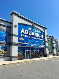 Daytona Aquarium & Rainforest Adventure photo 3