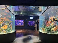 Daytona Aquarium & Rainforest Adventure photo 5