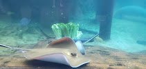 Discovery Reef photo 4