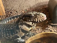 Clint's Reptile Room photo 4