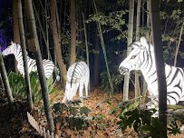 Zoo Atlanta, TreeTop Trail