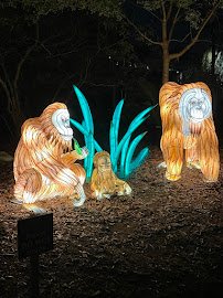 Zoo Atlanta, TreeTop Trail photo 2