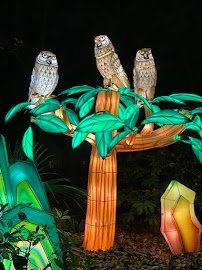 Zoo Atlanta, TreeTop Trail photo 3