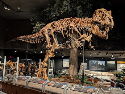 Museum of the Rockies