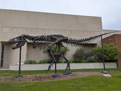 Museum of the Rockies photo 3