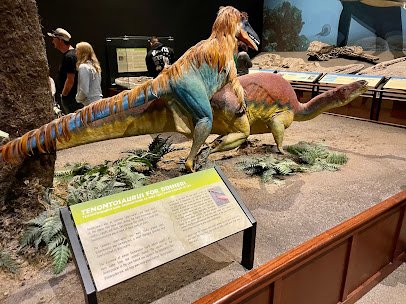 Museum of the Rockies photo 4
