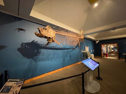 Museum of the Rockies photo 5