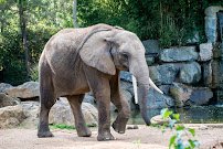 Los Angeles Zoo photo 5