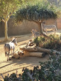 Los Angeles Zoo photo 6