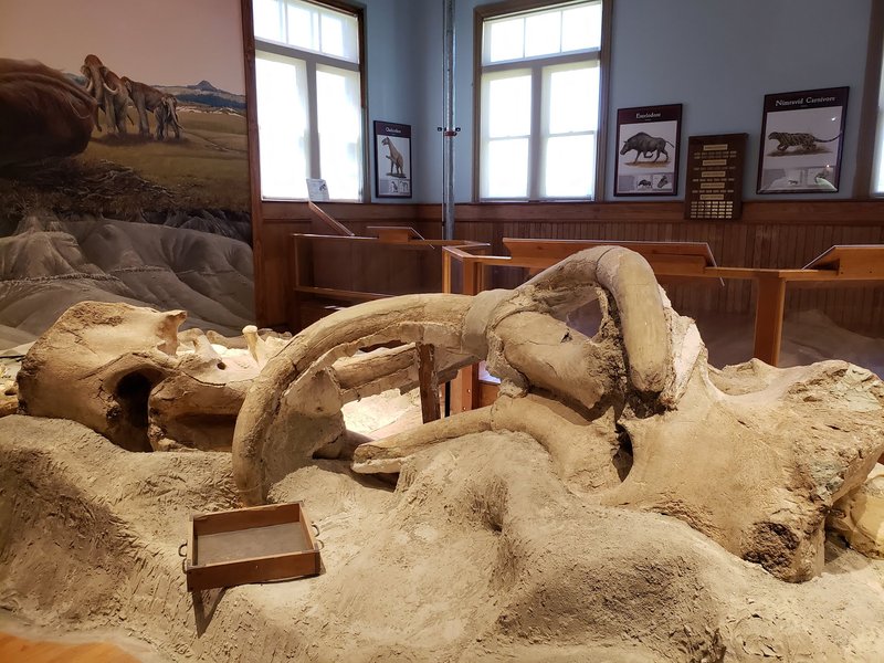 University of Nebraska State Museum's Trailside Museum of Natural History photo 3