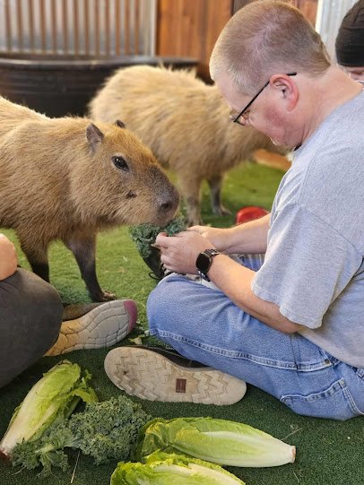 Nick’s Barnyard Buddies photo 4