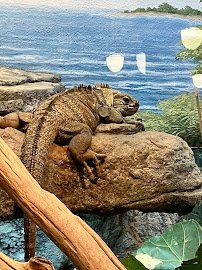 Reptile House photo 3