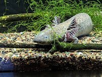Reptile House photo 6