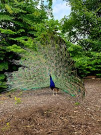 Fort Wayne Zoo photo 4
