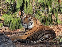 Fort Wayne Zoo photo 5