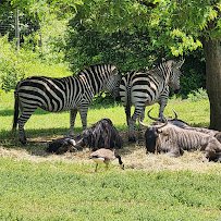 Fort Wayne Zoo photo 6