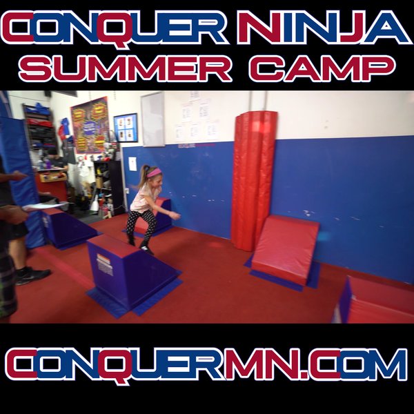 Conquer Ninja Gyms - Gilbert photo 2