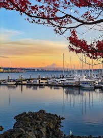 Open Water Park photo 3