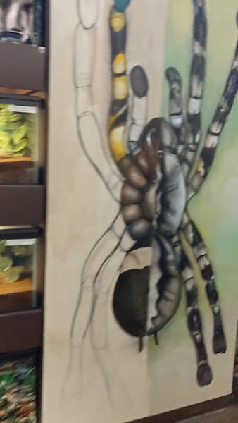 Insectropolis photo 2