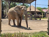 Cleveland Metroparks Zoo