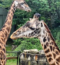 Cleveland Metroparks Zoo photo 3