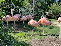 Cleveland Metroparks Zoo photo 4